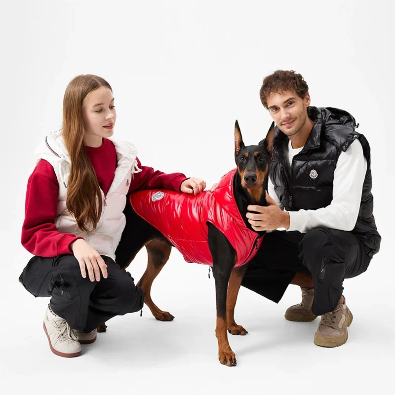 Winter Collection-banner12