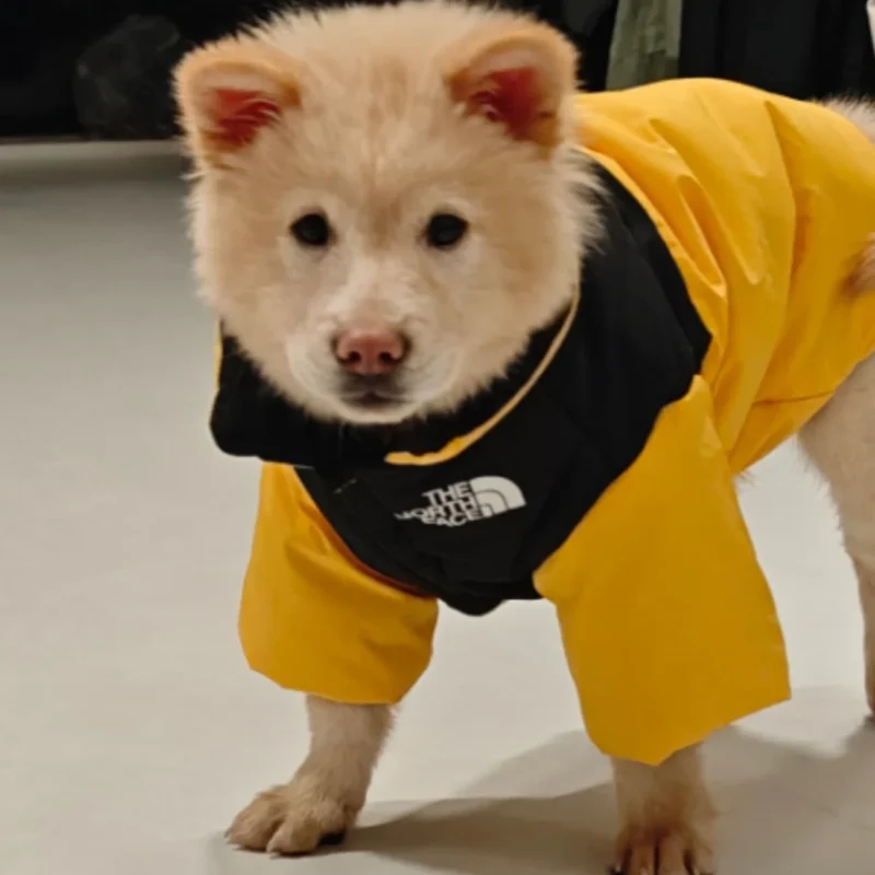 2026 居家進化：寵物工程學收納——讓「愛」與「秩序」共生