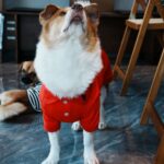 017bf9cf7e3fe849d13256cb4e1575c9