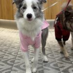 _2025-10-29_114623_160