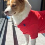 6d9ac9ff0bfc744f0b959871d01b2749