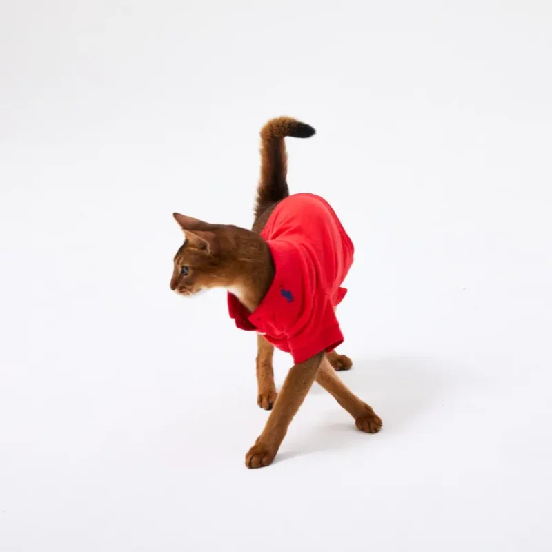 RL Red Pet Polo