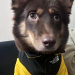 0ff59763efc7d4d46a5a006dcef3a90f