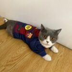 FC Barcelona Pet Jersey