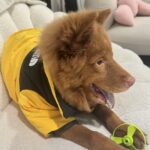 _2025-10-29_115126_599