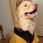 _2025-10-29_144033_852