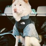 2c8415c47cb60100f4dfccd848f105a6