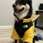 2ea1e25d4c85025f67b562d852ed3ef0