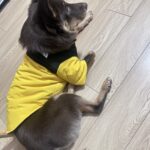 32d6877815060f9dbc1c903ce62383de