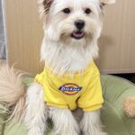 4f3036e464749a3831e75958db548bfd