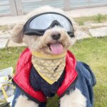 5087c7b2519a7cd88590ab47a059f2ac