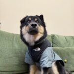 57574a52dd46e2cff4a4f0aedfd684e5