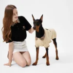 Burberry Pet polo shirt