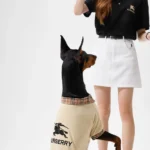 Burberry Pet polo shirt