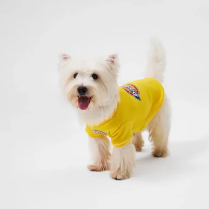 DK Sweatshirt Yellow