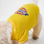 Dickies Sweatshirt Yellow