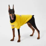 Dickies Sweatshirt Yellow