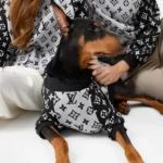 LV Patchwork Sweater Pet3