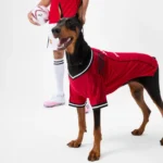 Manchester United Pet Jersey