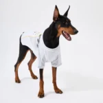 Real Madrid Pet Jersey