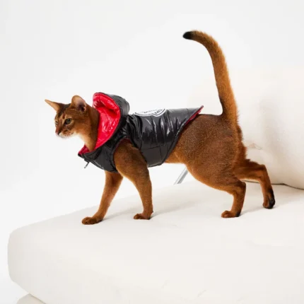 Reversible Moncler down jacket