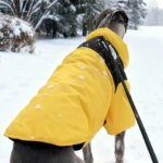 The-North-Face-down-jacket-Yellow