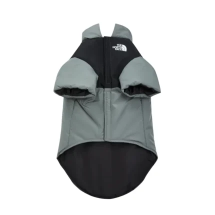 The North Face down jacket