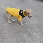 b3dbb384570043e7a2867912fdcdceaf