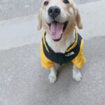 bcbc7181f130da0737f6f6d9d8c7cfb1