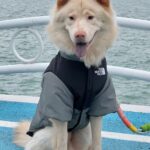 fda92d888ee6570c009b00af1371fff5