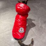 c2cfba77734ed438c98f6b3ec319bfcd