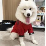 b7151defb7c3b5bd1e0da37331054271